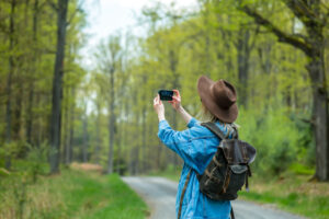 Roaming qué es